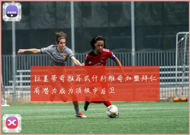 拉基蒂奇推荐武什科维奇加盟拜仁有潜力成为顶级中后卫