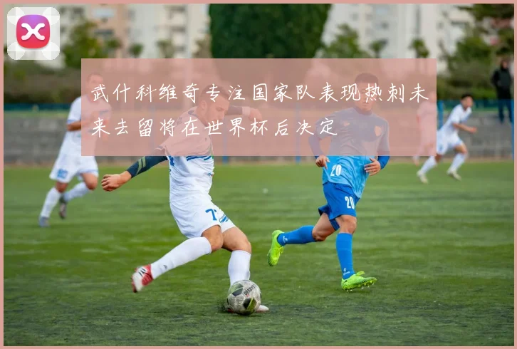 武什科维奇专注国家队表现热刺未来去留将在世界杯后决定