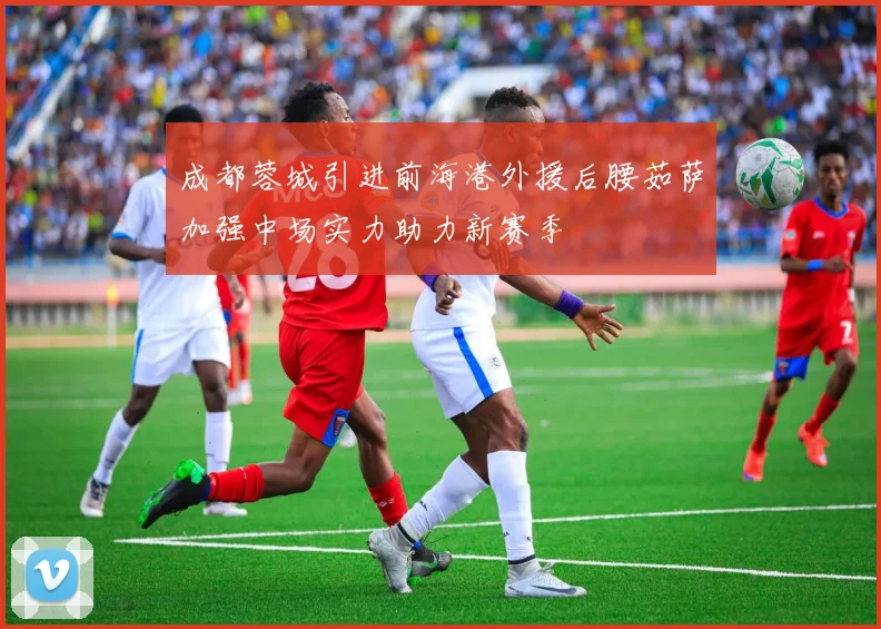 成都蓉城引进前海港外援后腰茹萨加强中场实力助力新赛季