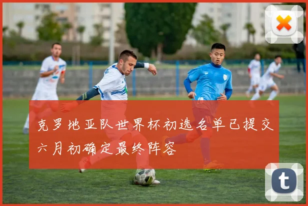 克罗地亚队世界杯初选名单已提交六月初确定最终阵容
